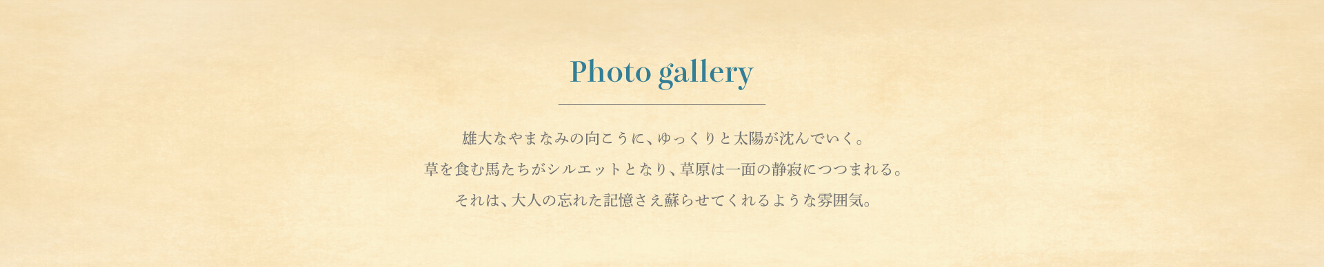 photo gallery