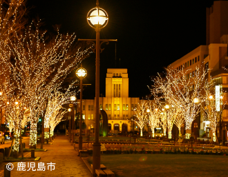 鹿児島市役所の画像