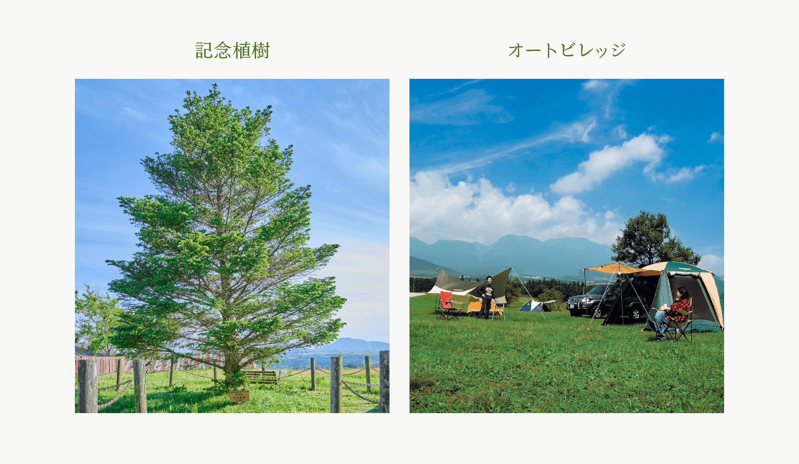 記念植樹・オートビレッジの画像